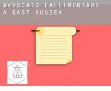Avvocato fallimentare a  East Sussex