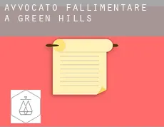 Avvocato fallimentare a Green Hills