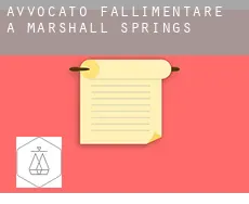 Avvocato fallimentare a Marshall Springs
