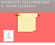 Avvocato fallimentare a  Schweizerhaus