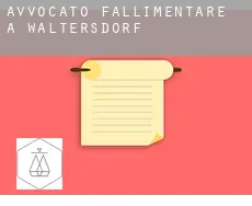 Avvocato fallimentare a Waltersdorf