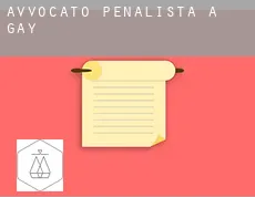 Avvocato penalista a Gay
