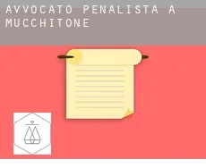 Avvocato penalista a Mucchitone