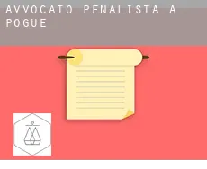Avvocato penalista a Pogue