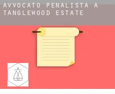 Avvocato penalista a Tanglewood Estate