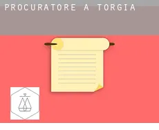 Procuratore a Torgia