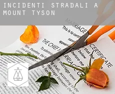 Incidenti stradali a Mount Tyson