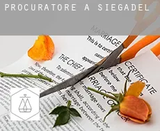 Procuratore a  Siegadel