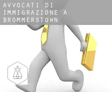 Avvocati di immigrazione a Brommerstown
