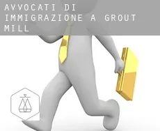 Avvocati di immigrazione a Grout Mill