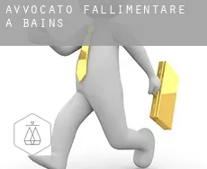 Avvocato fallimentare a Bains
