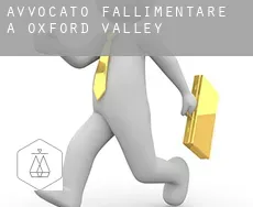 Avvocato fallimentare a Oxford Valley