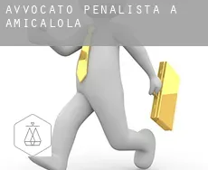 Avvocato penalista a Amicalola