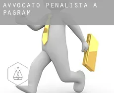 Avvocato penalista a  Pagram