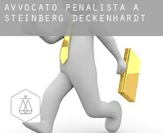 Avvocato penalista a  Steinberg-Deckenhardt