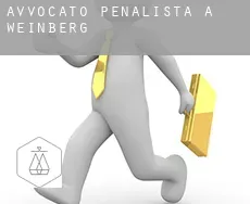 Avvocato penalista a  Weinberg