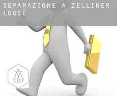 Separazione a  Zelliner Loose