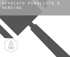 Avvocato penalista a Harding