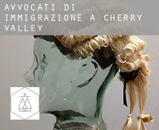 Avvocati di immigrazione a Cherry Valley