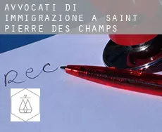 Avvocati di immigrazione a Saint-Pierre-des-Champs