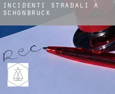 Incidenti stradali a  Schönbrück