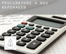 Procuratore a  Neu Rapshagen