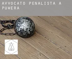 Avvocato penalista a Puwera