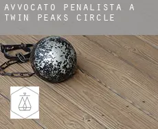 Avvocato penalista a Twin Peaks Circle