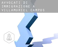 Avvocati di immigrazione a  Villamuriel de Campos