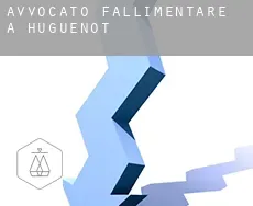Avvocato fallimentare a Huguenot