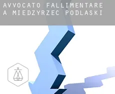 Avvocato fallimentare a Międzyrzec Podlaski
