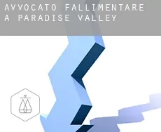 Avvocato fallimentare a Paradise Valley
