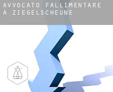 Avvocato fallimentare a  Ziegelscheune