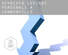 Avvocato lesioni personali a  Cannonville