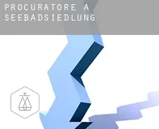 Procuratore a  Seebadsiedlung